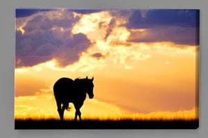‘Horse Sunset‘ Canvas Print
