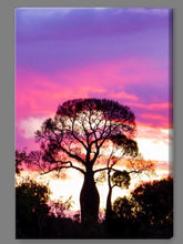‘Bottle Tree Sunset’ Canvas Print