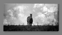 'Billy and the Storm' Canvas Print - Black and White