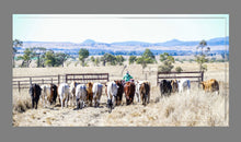 'Tailing Weaners' Canvas Print