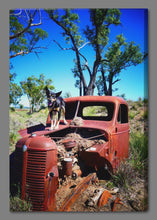 'Kelpie and the Old Truck' Canvas Print