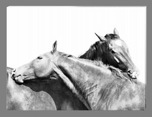 'Mocca and Filly' - Black and White Canvas Print