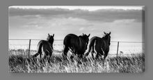 'Heading Home' Canvas Print - Black and White