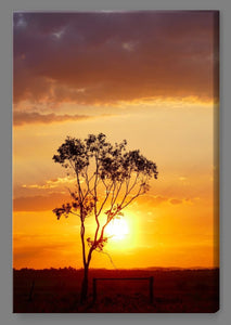 'Post and Rail Sunset' Canvas Print