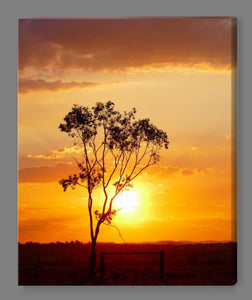 'Post and Rail Sunset' Canvas Print